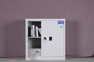 Password Confidential Safe Cabinet with Safes